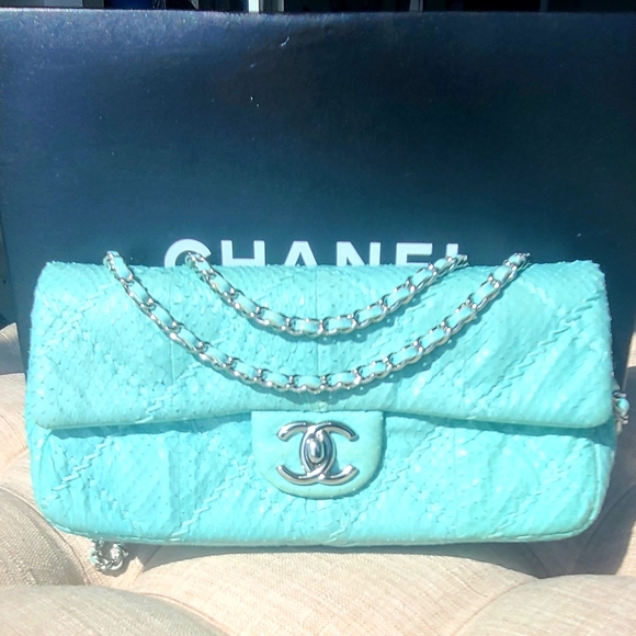 Chanel Python Classic Flap Bag - Picture 2 of 12